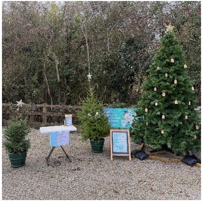 Mason's Hope Support